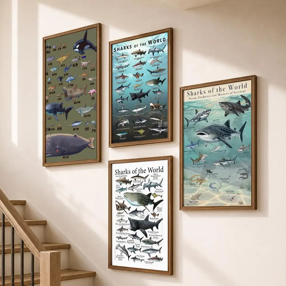 Marine Whale Shark Species Chart Poster Modern Aesthetic Wall Art for Home Bar Cafe Bathroom Decor