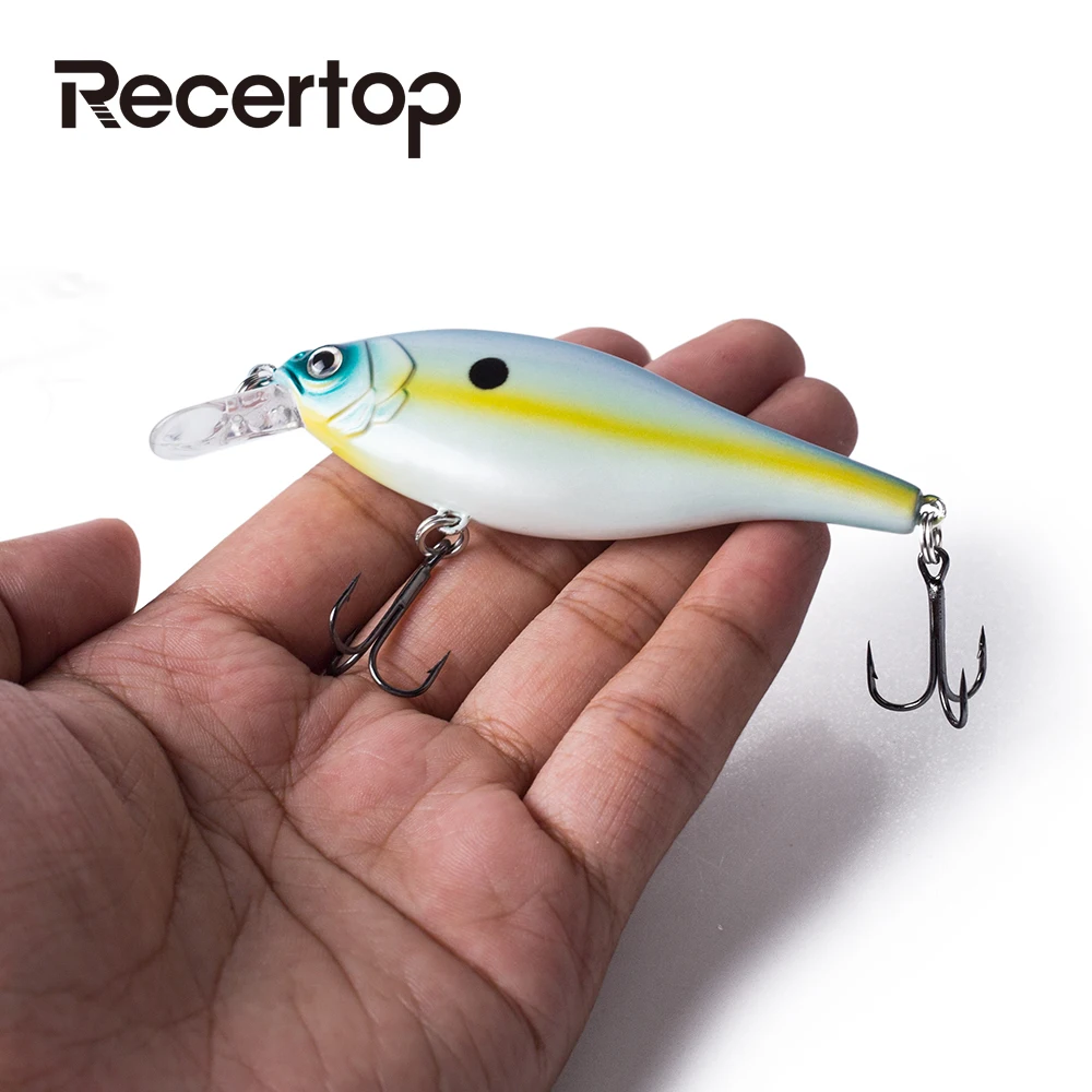 Recertop Floating 10cm 10g Jerkbait Wobblers Crankbaits Hardbait Minnow Camping Outdoor Fishing lure Tackle SwimBait