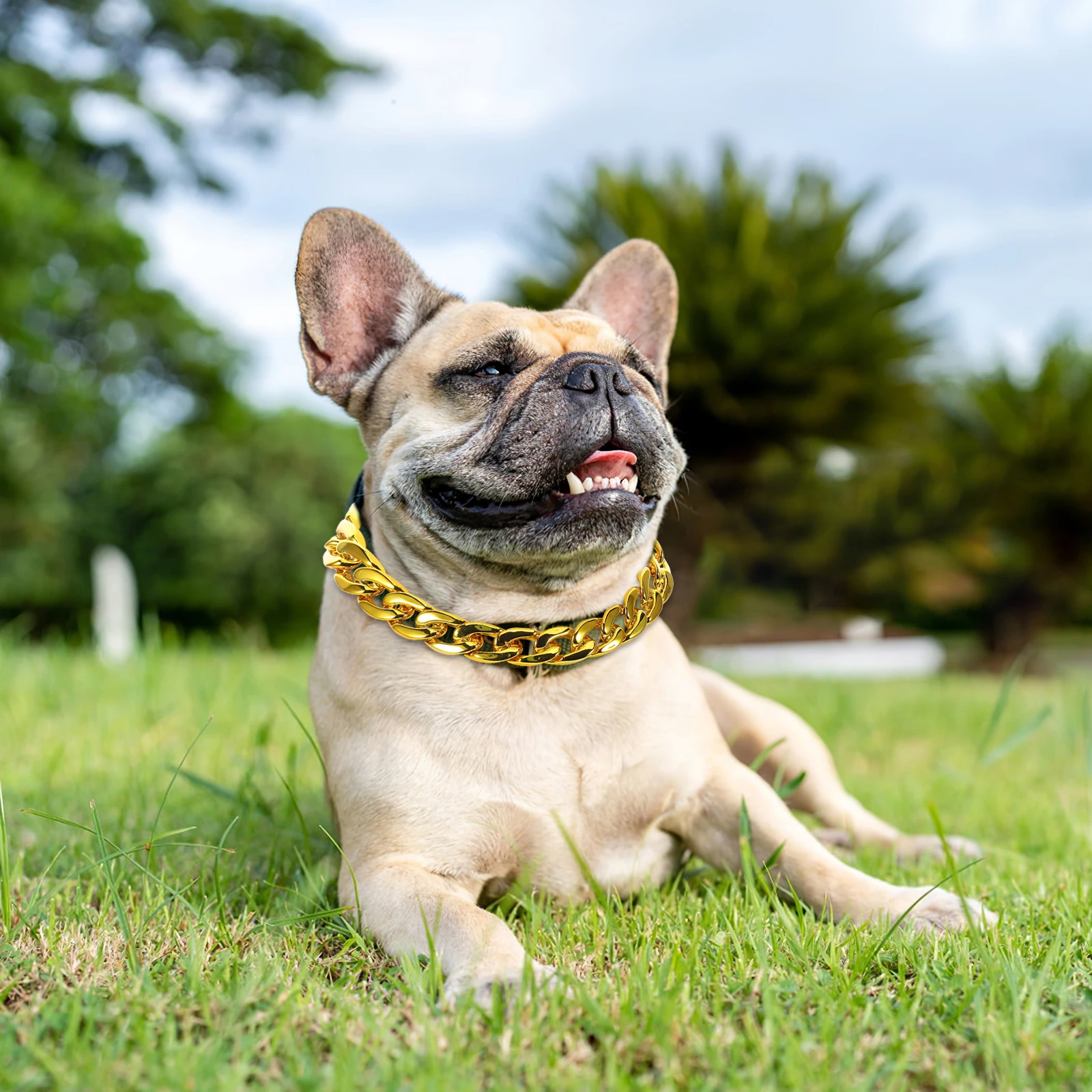 

Dog Gold Chain Small Pendant Jewelry Pet Necklace Durable Practical Occasions Pet Birthday Wedding Holiday Outfits