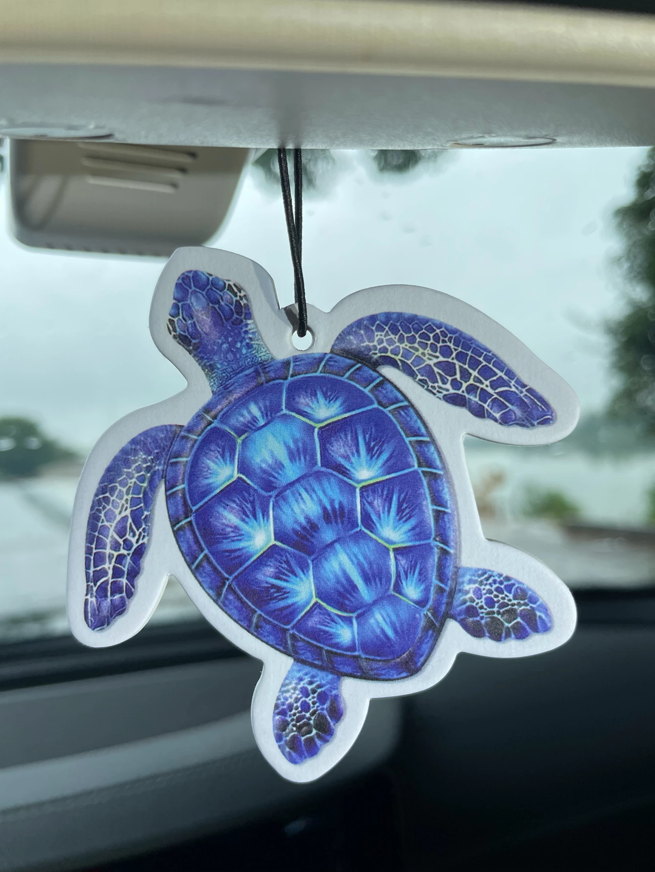 Blue Sea Turtle Shaped Hanging Car Air Freshener Scent Card, Natural Plant Extract Fragrance, Alcohol-Free, Heat & Sun Resistant