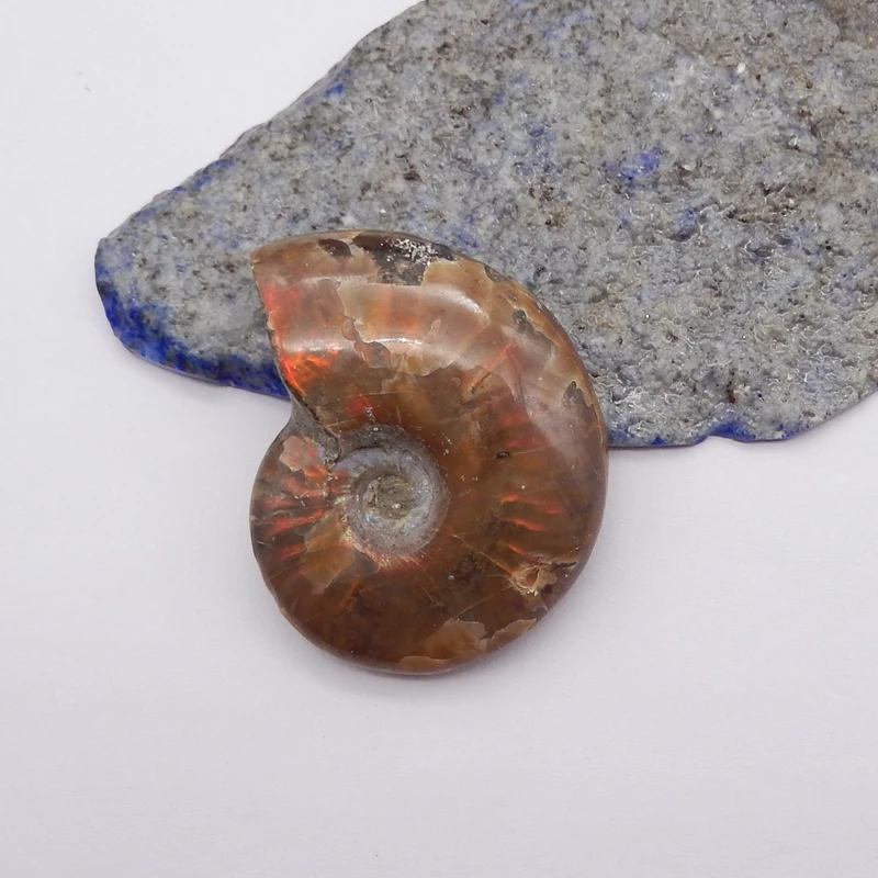 Natural Gemstone Ammonite Cabochon For Pendant DIY Making Semiprecious Stone Trendy Jewelry Necklace Accessory 47x38x12mm 33g