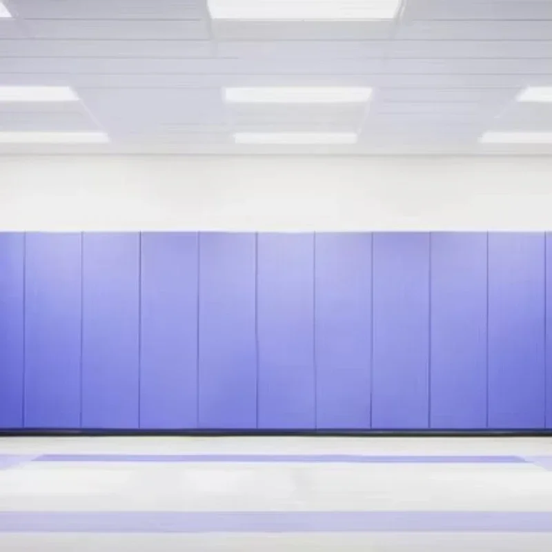

5Cm wall protection mat, wallboard mat, filled with plywood wall lining, suitable for gyms