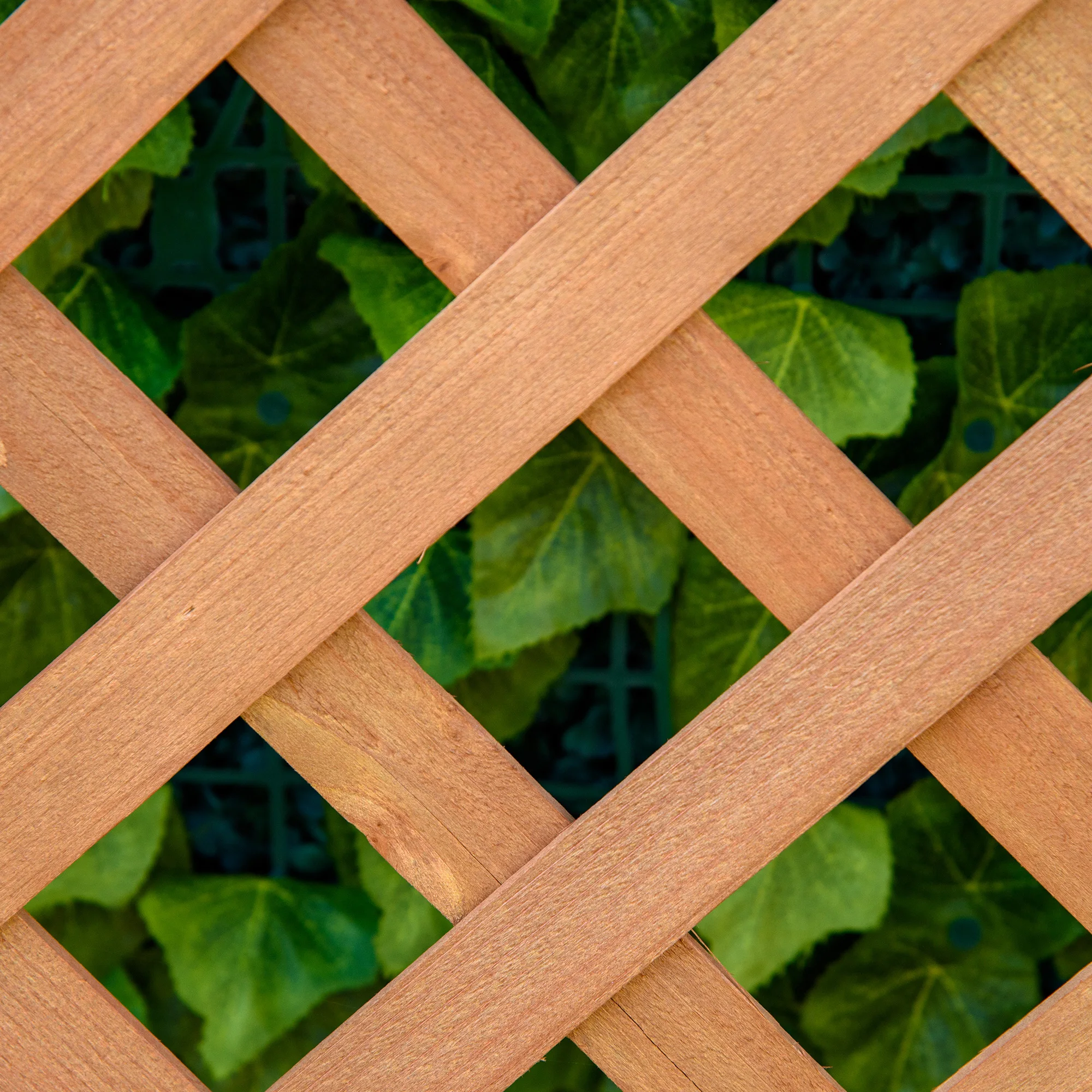 Raised Bed Planter Box - Outsunny houten verhoogd tuinbed met pergola,
