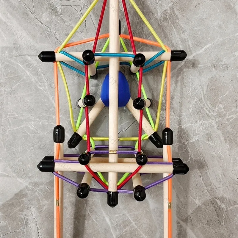 Professional Dynamic Axis Anatomy Train Model - Spine Pelvis Fascia Tension Medical Teaching Tool