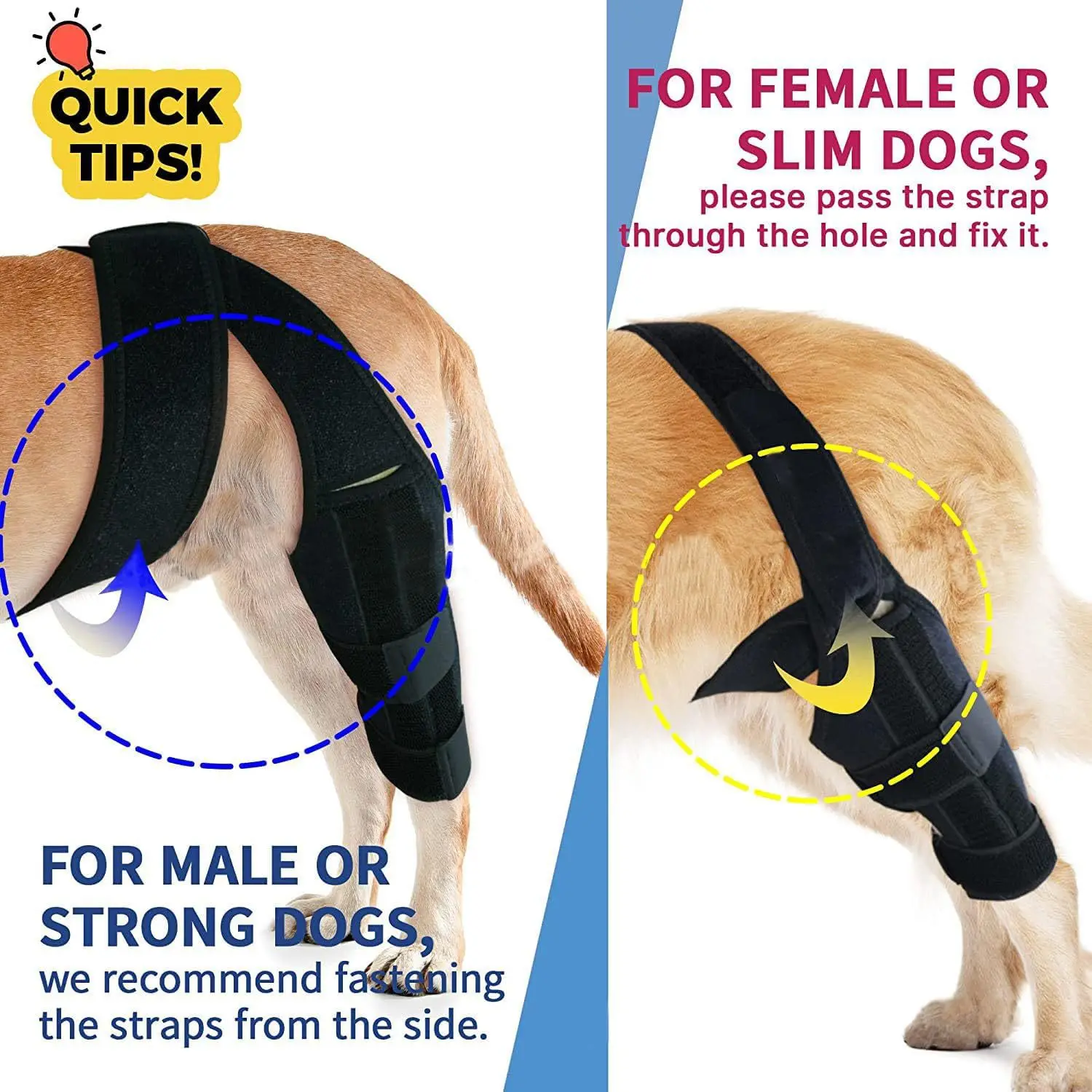 Protector dog leg injury auxiliary belt dog leg guard dog knee rehabilitation belt leg joint protective cover - view 2