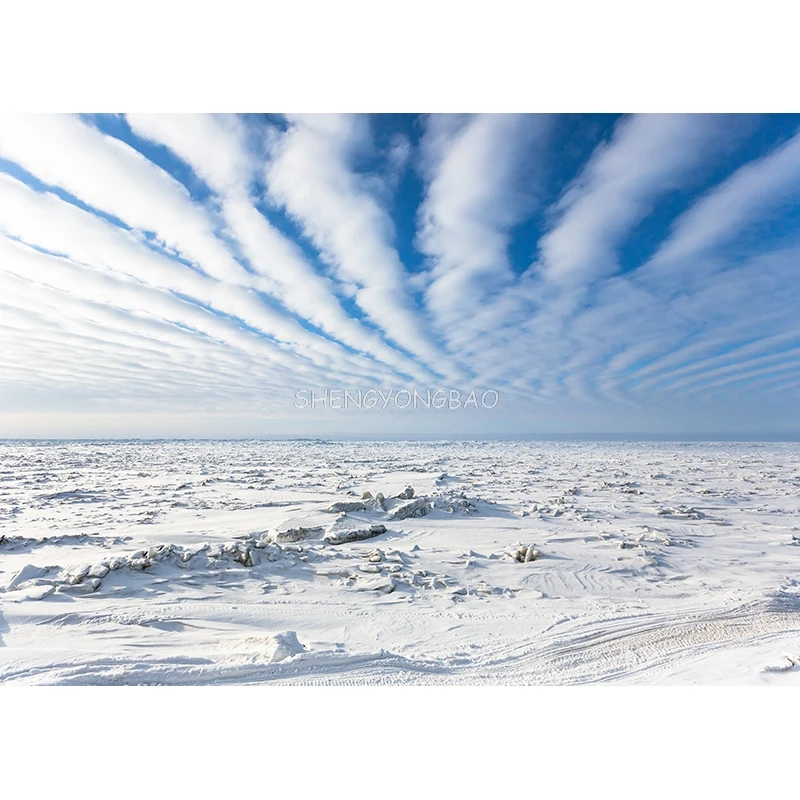 Fondo de fotografía de paisaje Natural de invierno bosque paisaje nevado viajes foto telones de fondo accesorios de estudio 21101 XJS-02