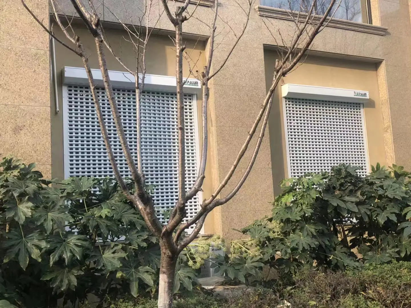 Modern Design Rolling Shutter Window Factory Price Aluminum Alloy Metal Sound Proof Hurricane Storm Roller Shutters