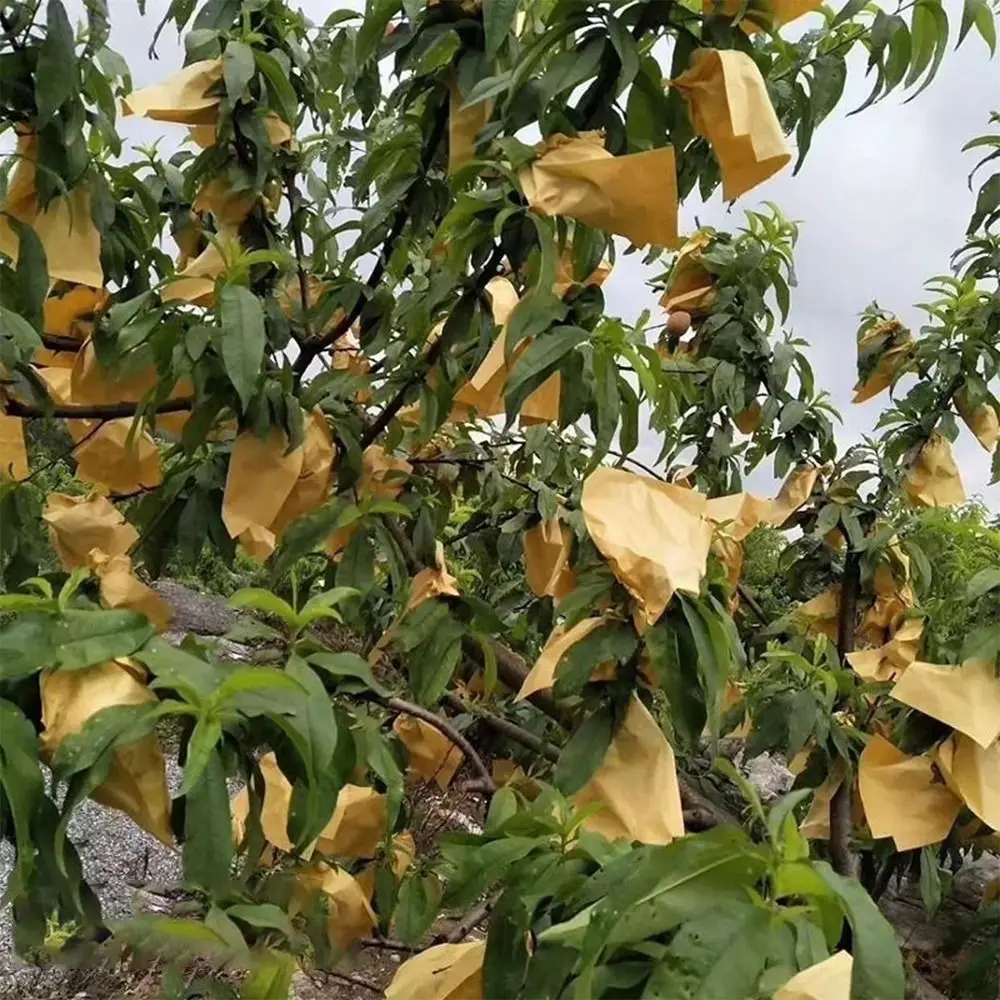 100PCS Breathable Fruit Development Bag Waterproof Promote Growth Anti-Bird Pouch Against Insect Agricultural Bag Apple Pear