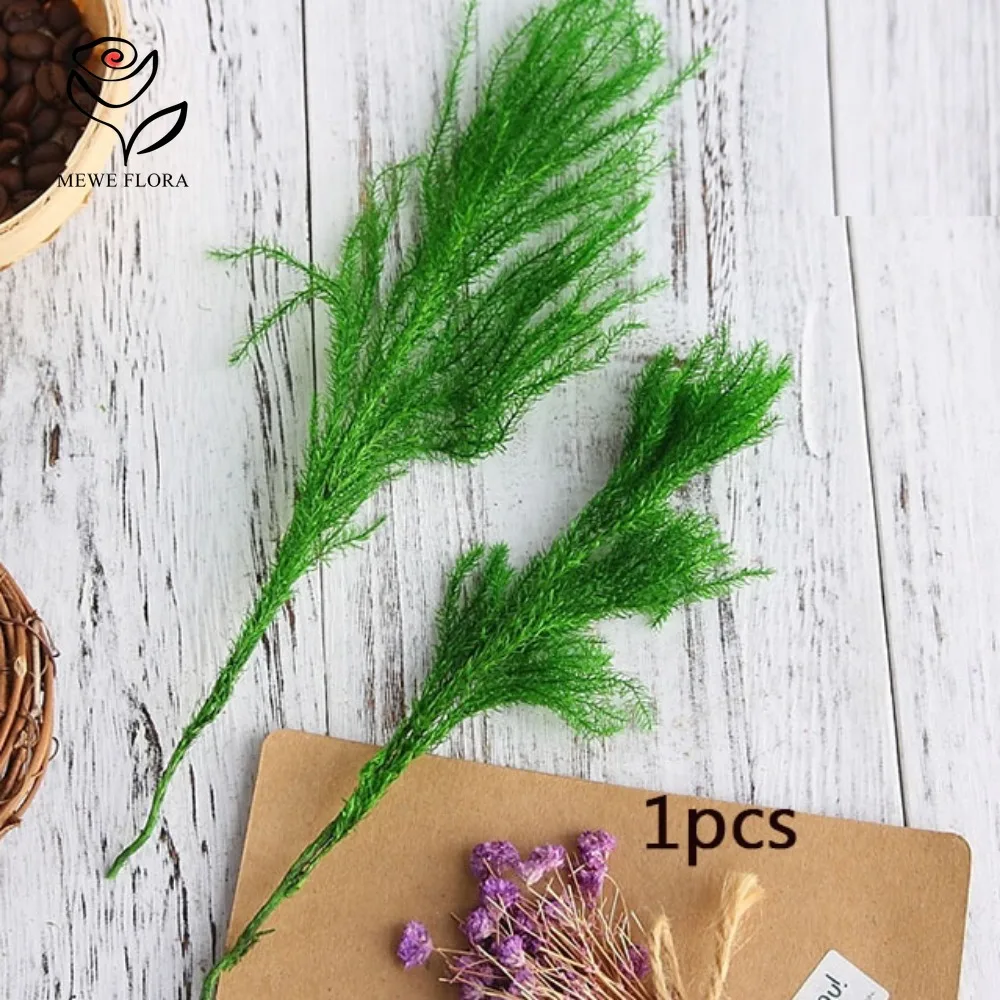 Natural Dried Lycopodium Grass Christmas Decoration Eternal Preserved Flowers Green Plants for Home Xmas Arrangement Crafts