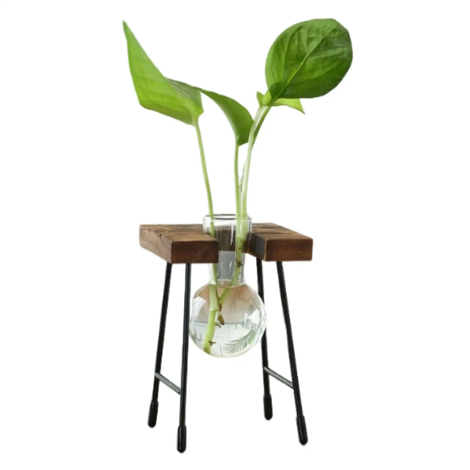 Glass Vase for Flowers Hydroponic Plant Propagation Jar with Wooden Frame for Room Decoration Vases