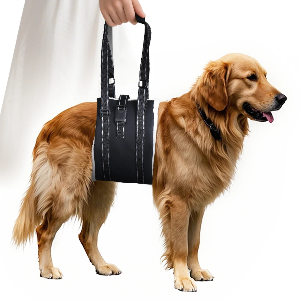 Harnais De Levage R…