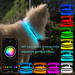 Led Dog Collar Bluetooth APP Multiple RGB Colors Light Up Dog Collar USB Rechargeable Waterproof Dog Collar Light for Night Safe