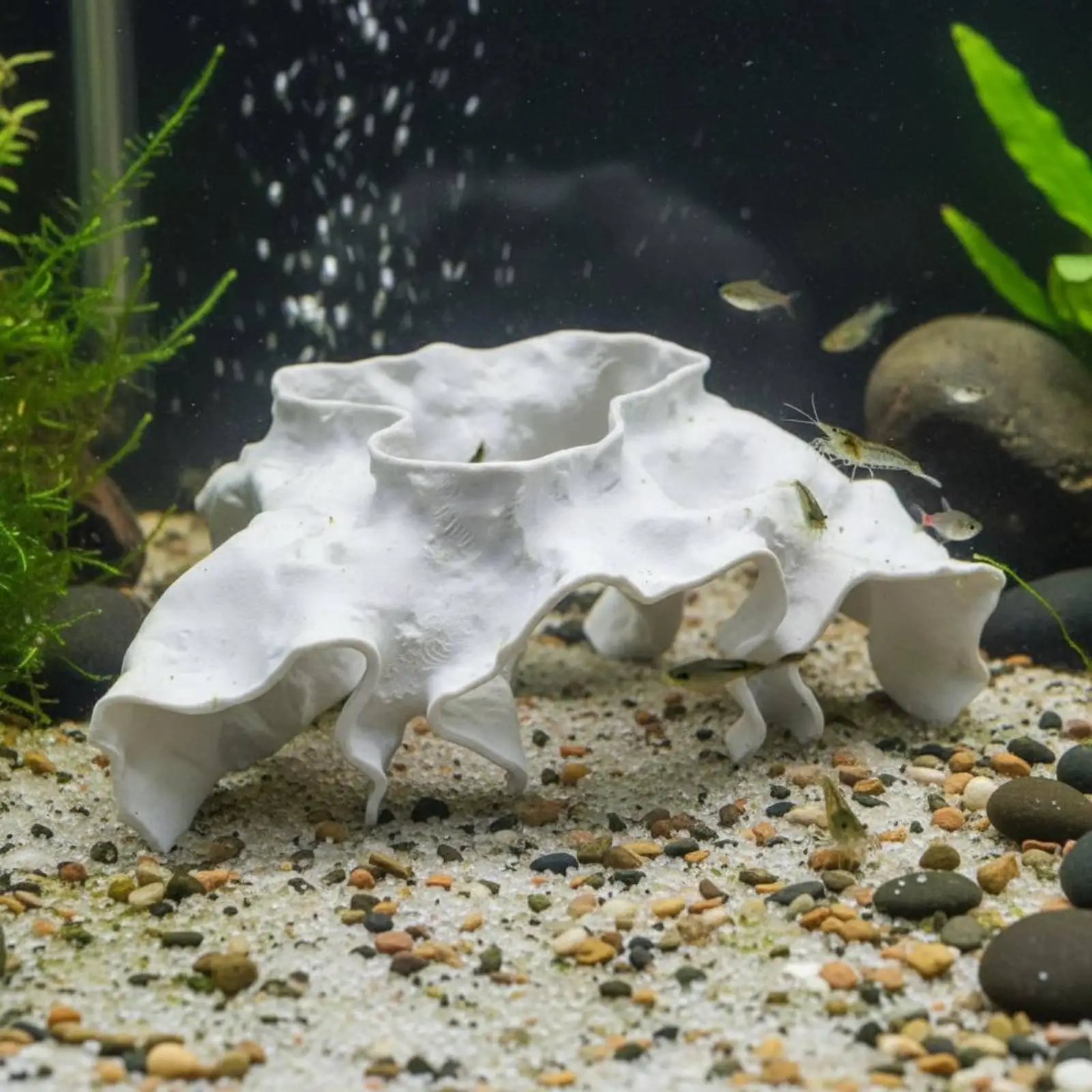 Aquarium Cave Decoration Observation Window Aquarium Hiding Cave Easy to Clean Crustacean Breeding Fishes Tank Ornament