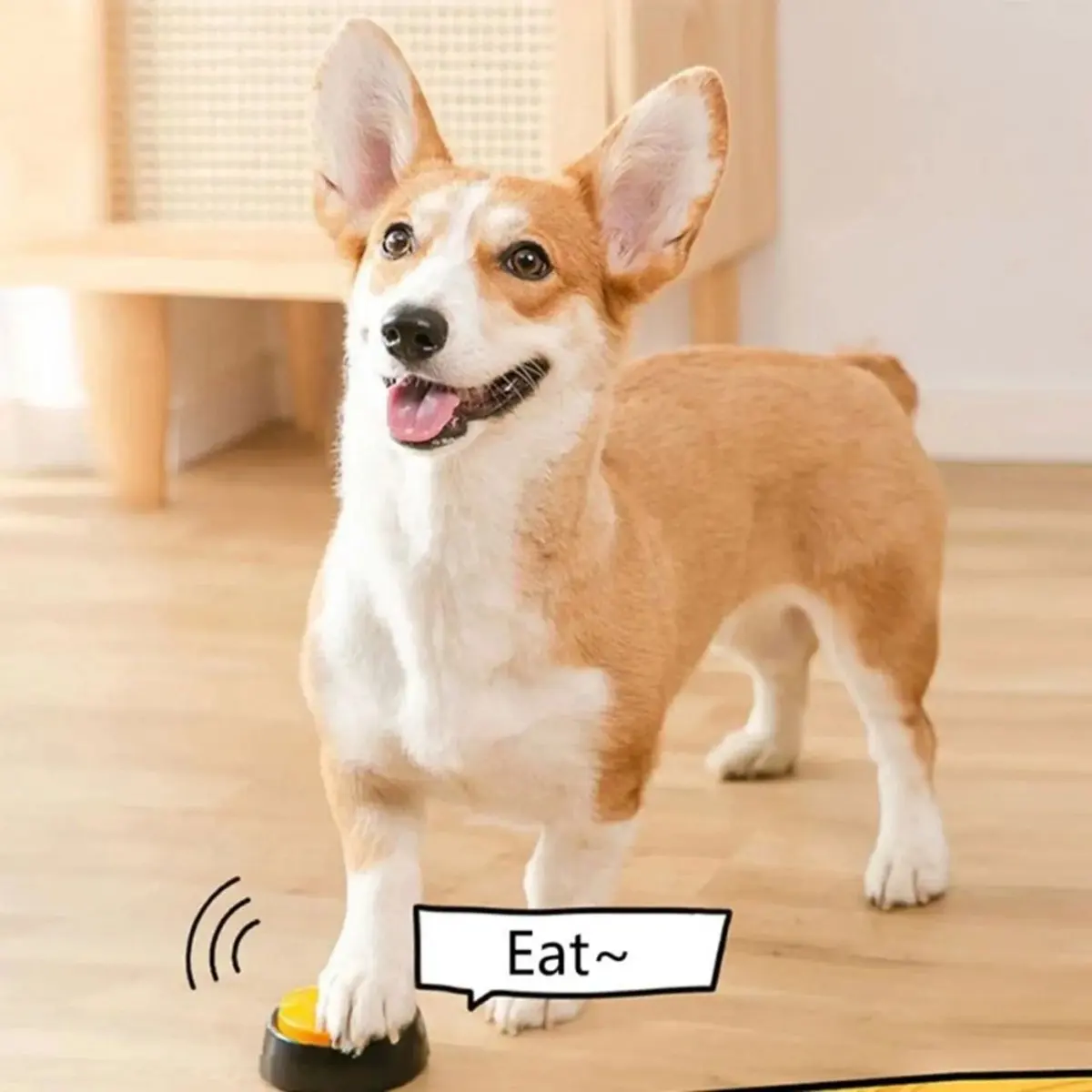 6PCS Dog Communication Buttons Voice Recording Button for Pet Training Buzzer Record Playback Funny Gift No Battery