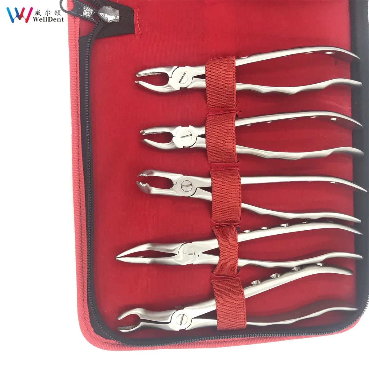 10pcs/set Dental Extraction Forceps Pliers Orthodontic Adult Tooth Extraction Plier Elevator Surgical Tools Threaded Handle