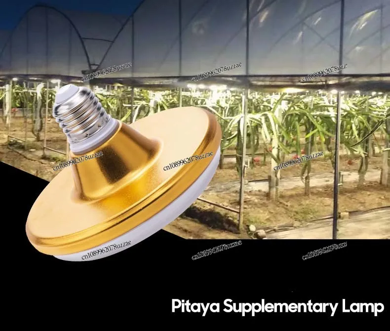 أفضل مصابيح LED لنمو النباتات الداخلية عالية الجودة لتاريخ فاكهة التنين الأخضر باللونين الأبيض والوردي مع مصدر رقاقة الفاكهة #3