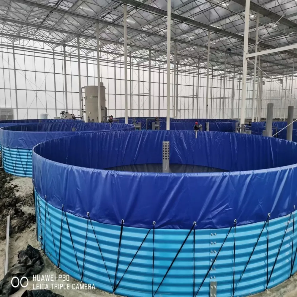 

2025Professional Aquaculture Water Tank for Fish Farming of Trout, Eel and Tilapia