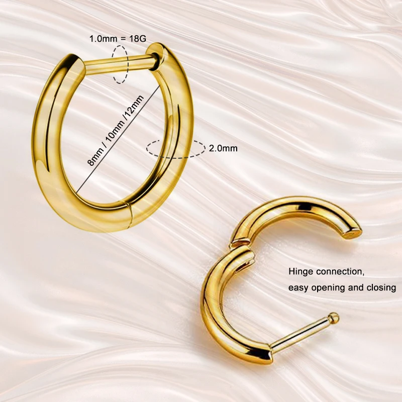 ASTM F136 Titanium D-Shape Ear Hoop Hinged Segment Rings Small Huggie Earring Body Piercing Jewelry for Sensitive Helix Conch