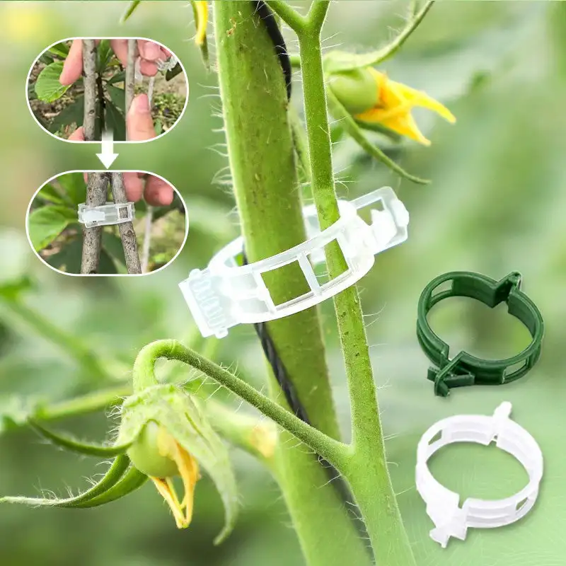 Plant Clips Supports Reusable Plastic Connects Fixing Vine Tomato Stem Grafting Vegetable Plants Orchard and Garden Tools