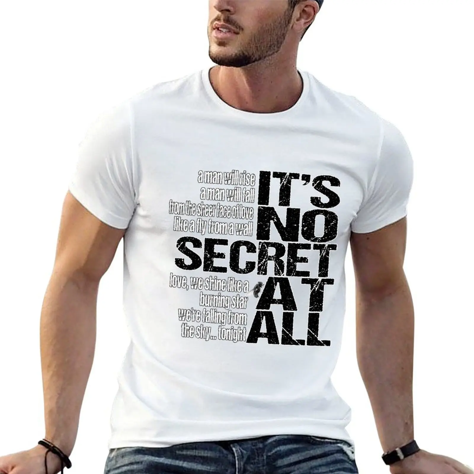 U2 The Fly Secret T… - image