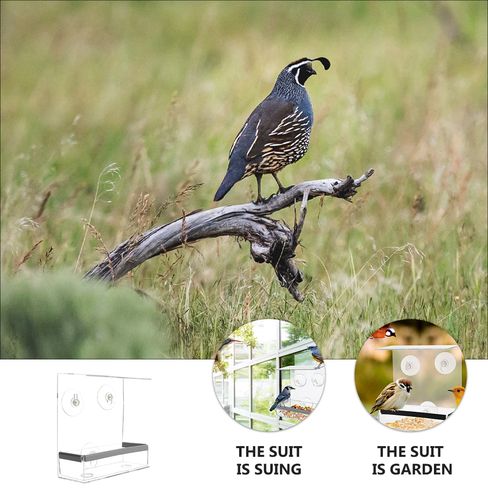 

Acrylic Bird Feeder Transparent Food Container Holder Tray Rust Resistant Durable Reusable Weatherproof Suction Cup For Backyard