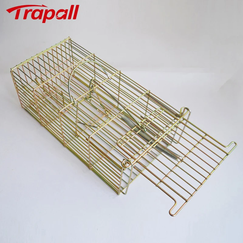 Humane Metal Animal Cat Squirrel Mouse Live Catch Trap Cage for Rodent Rat