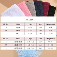 Floral Lace Panties for Women 4PCS/Set Transparent Sexy Lace Briefs Hollow Out Low Rise Underwear Female Breathable Lingerie S-L - Image 6