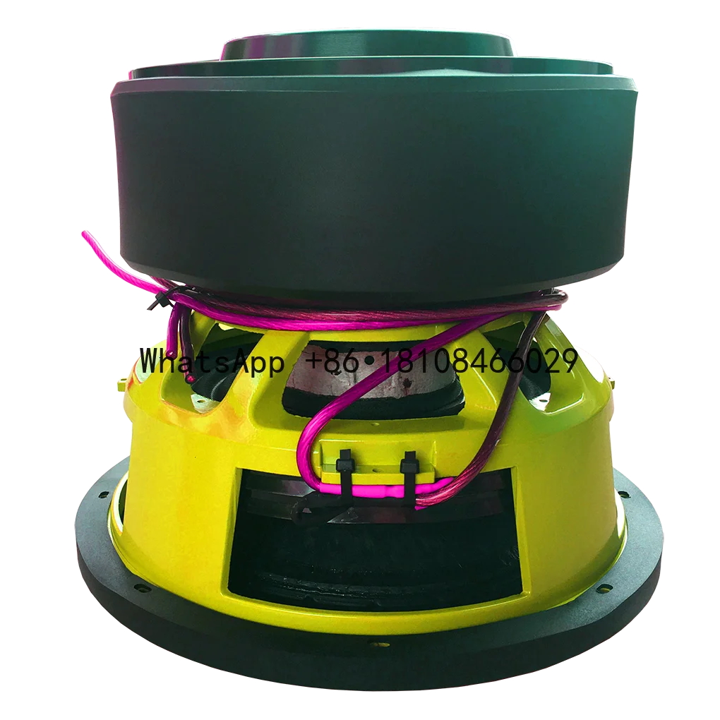 

Dentaly Professional 12inch Subwoofer 15inch Subwoofer Speaker SPL Car Audio Subwoofer Manufacturer 5000W 10000W