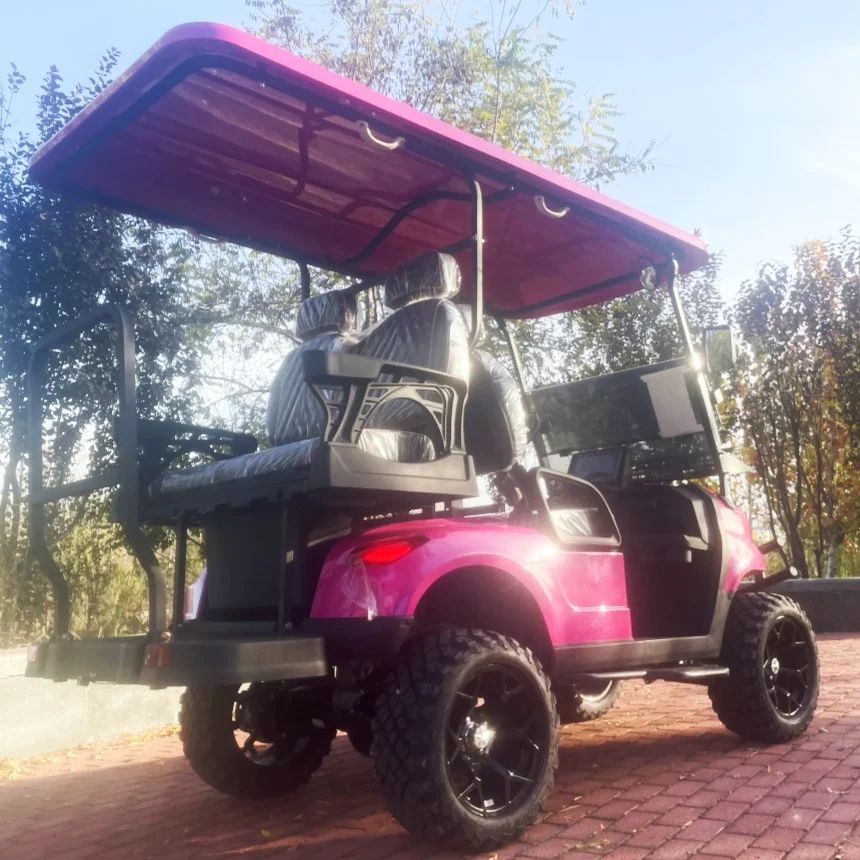 The Best Price Hunting Buggy Electric Golf Cart Customization Touch Screen Multimedia With Backup Camera Scenic Sightseeing Car