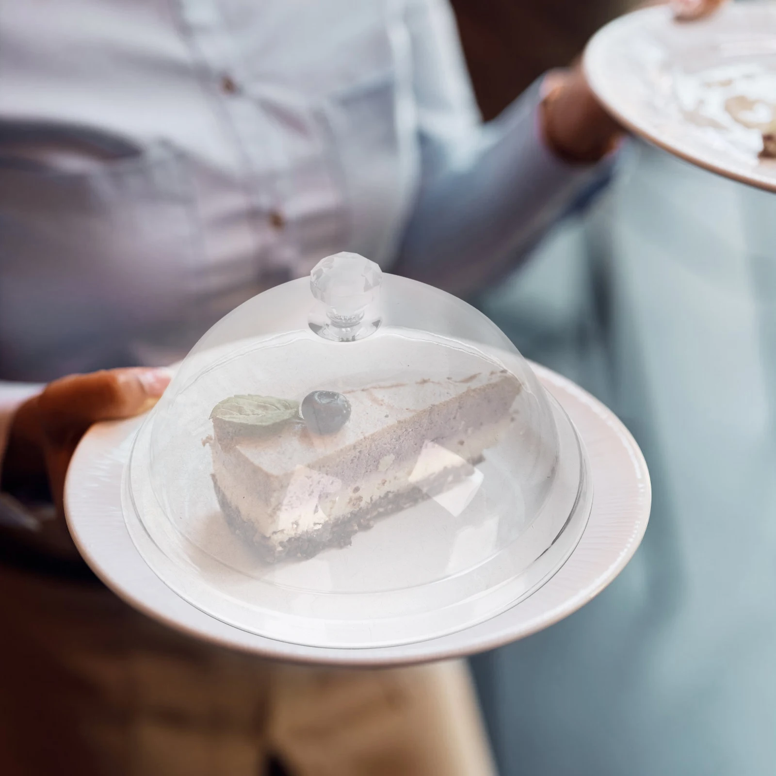 

2Pcs Round Cake Cover Lid Premium Material Kitchen Counter Decor Picnic Bbq Wedding Camping Cake Dome Food Cover