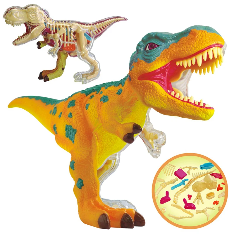 4D Master Tyrannosaurus Anatomy Model Q Edition Dinosaur Simulation Animal Assembly Teaching Educational Tools