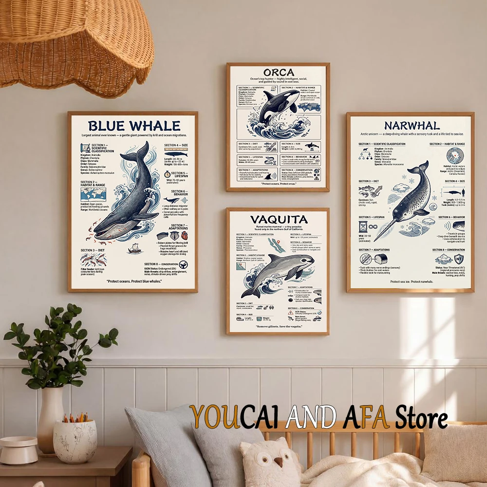 Educational Marine Life Art White Shark Sea Turtle Narwhal Giant Squid Infographic Poster Canvas Painting Wall Picture Sea Decor