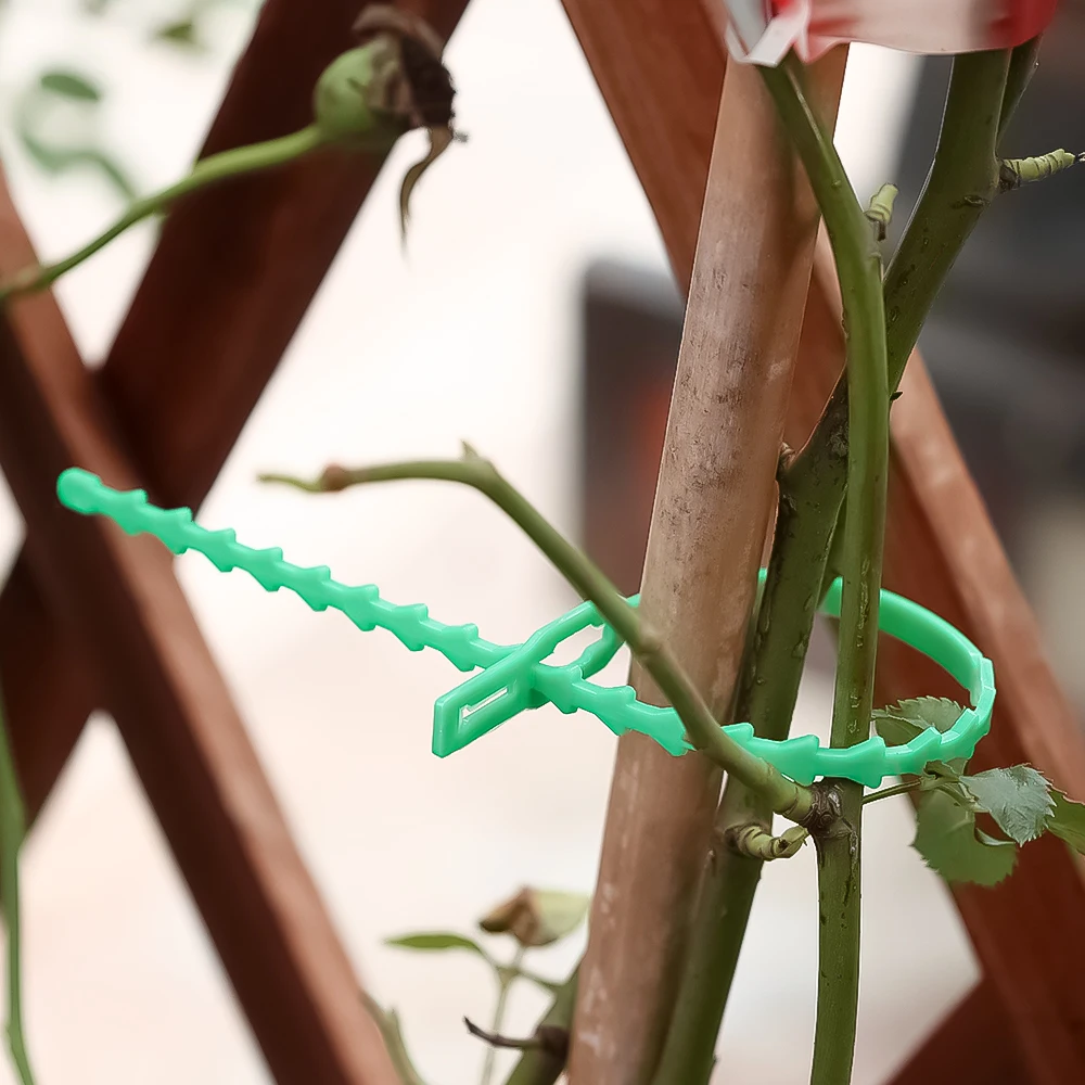 Reusable Garden Cable Ties Shrubs Fastener Tree Locking Adjustable Plastic Garden Plant Support Clips Self-locking Wholesale