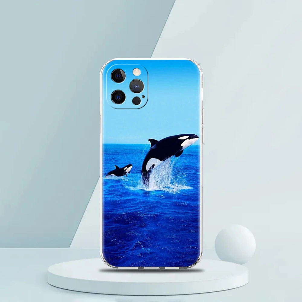 For iPhone 15 16 14 13 12 mini 11 Pro Max XS X XR SE 7 8 Plus Silicone Clear Cover Orca ocean lovely killer whale Phone Case