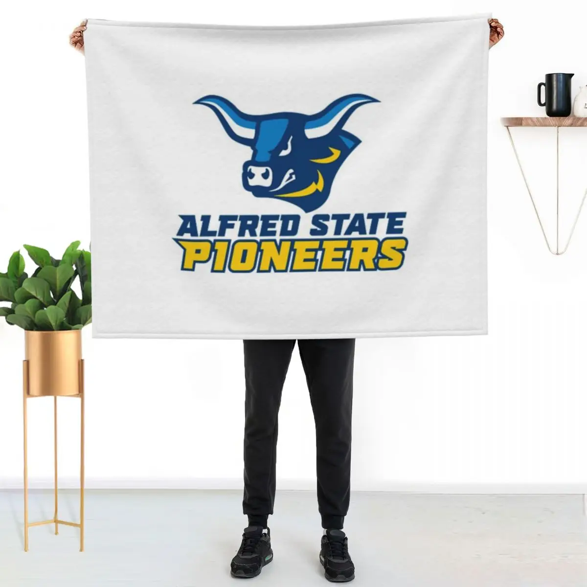 alfred state athletics logo Throw Blanket couch cozy soft plush fuzzy picnic outdoor blanket