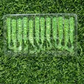 GD65 12pcs 06