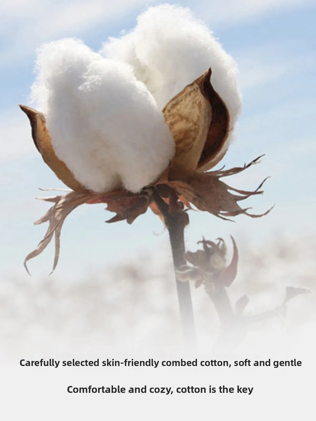 Camiseta Feminina de Algodão Puro, Estilo Solto, Moda de Verão, Design Coreano com Patchwork e Cores em Bloco