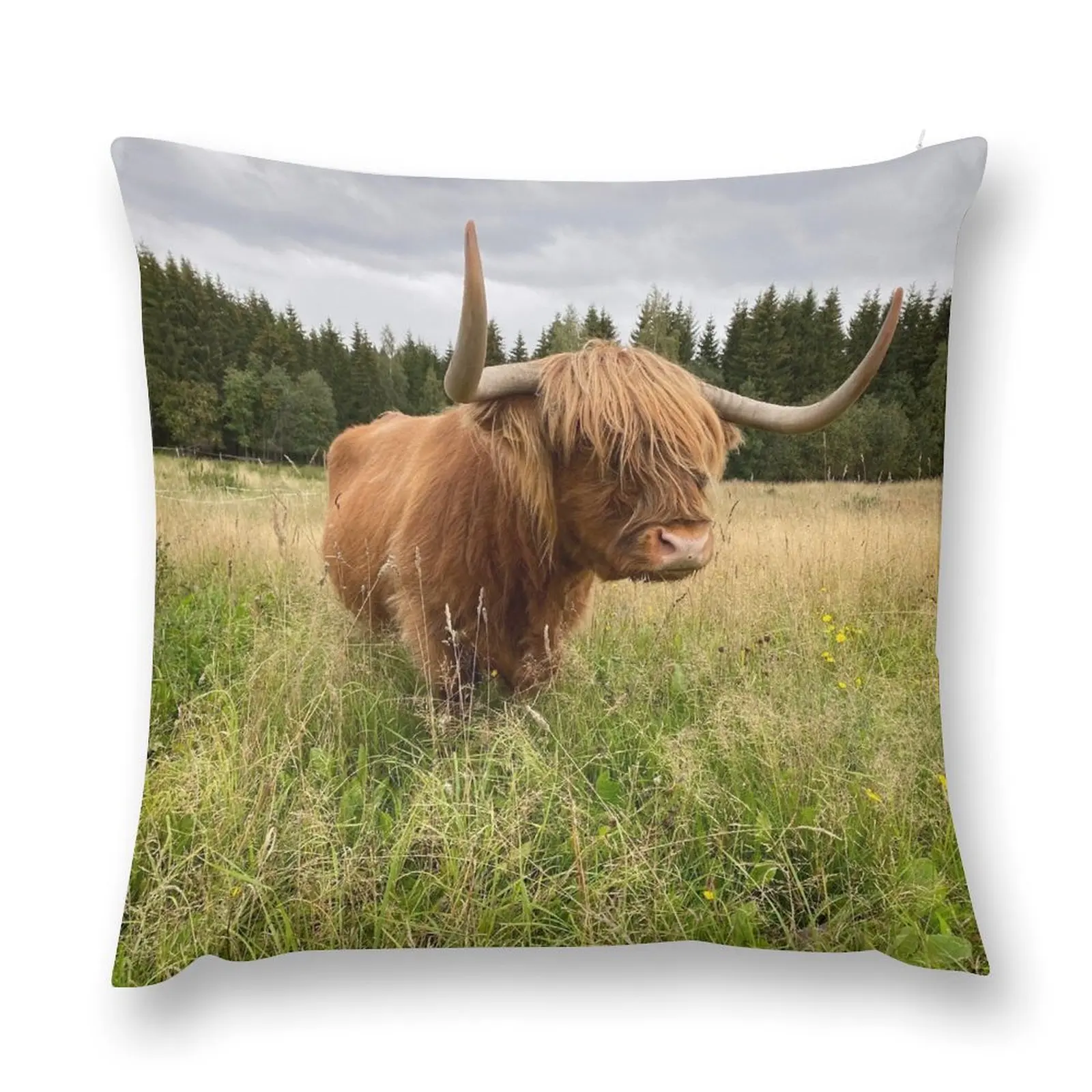 

Scottish Highland Cattle Cow 2956 Throw Pillow Pillowcases Cushion Covers Sofa anime girl pillow