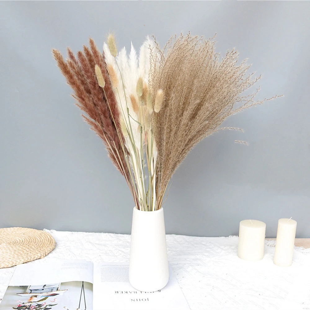 Natural Bunny Tail Grass Boho Fluffy White Pampas Grass Small Reeds Dried Flowers Bouquet Boho Indoor Living Room Decoration