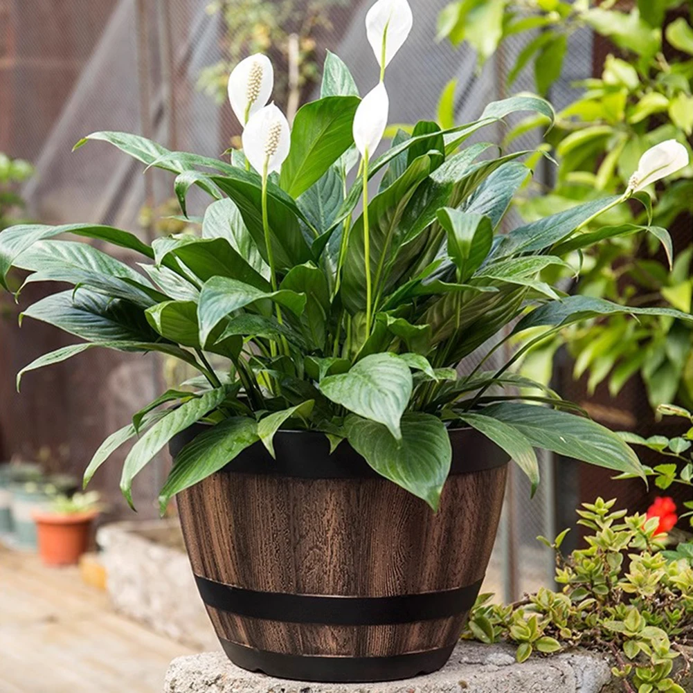 Creative Design Height Approximately 17cm Flower Pot Convenient Packaging Healthy Plant Growth Long-lasting Design