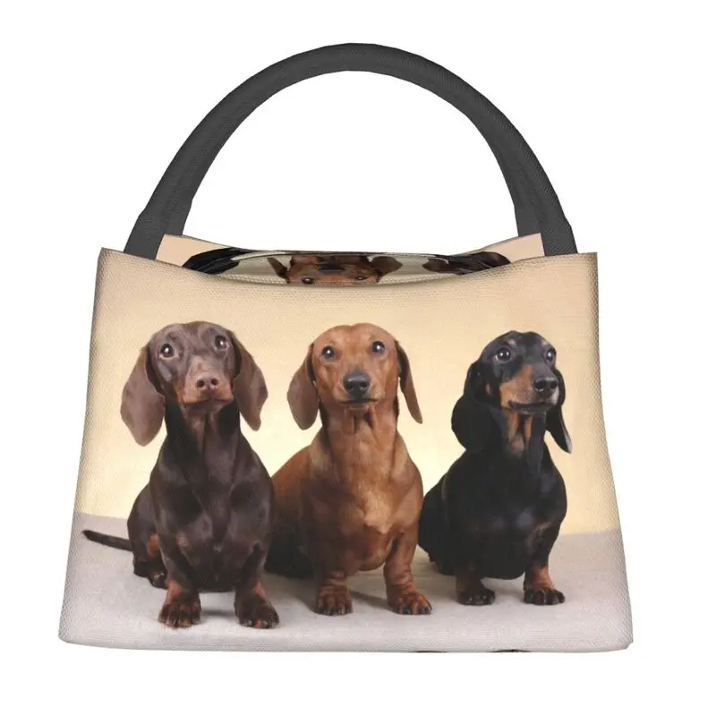 Dachshund Insulated Lunch Bag for Women Leakproof Badger Sausage the Wiener Dog Cooler Thermal Lunch Box Office Picnic Travel