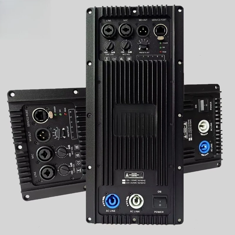 High Performance MW AUDIO Bi AMP 200W 400W DSP Amplifier Module Speaker DP Series