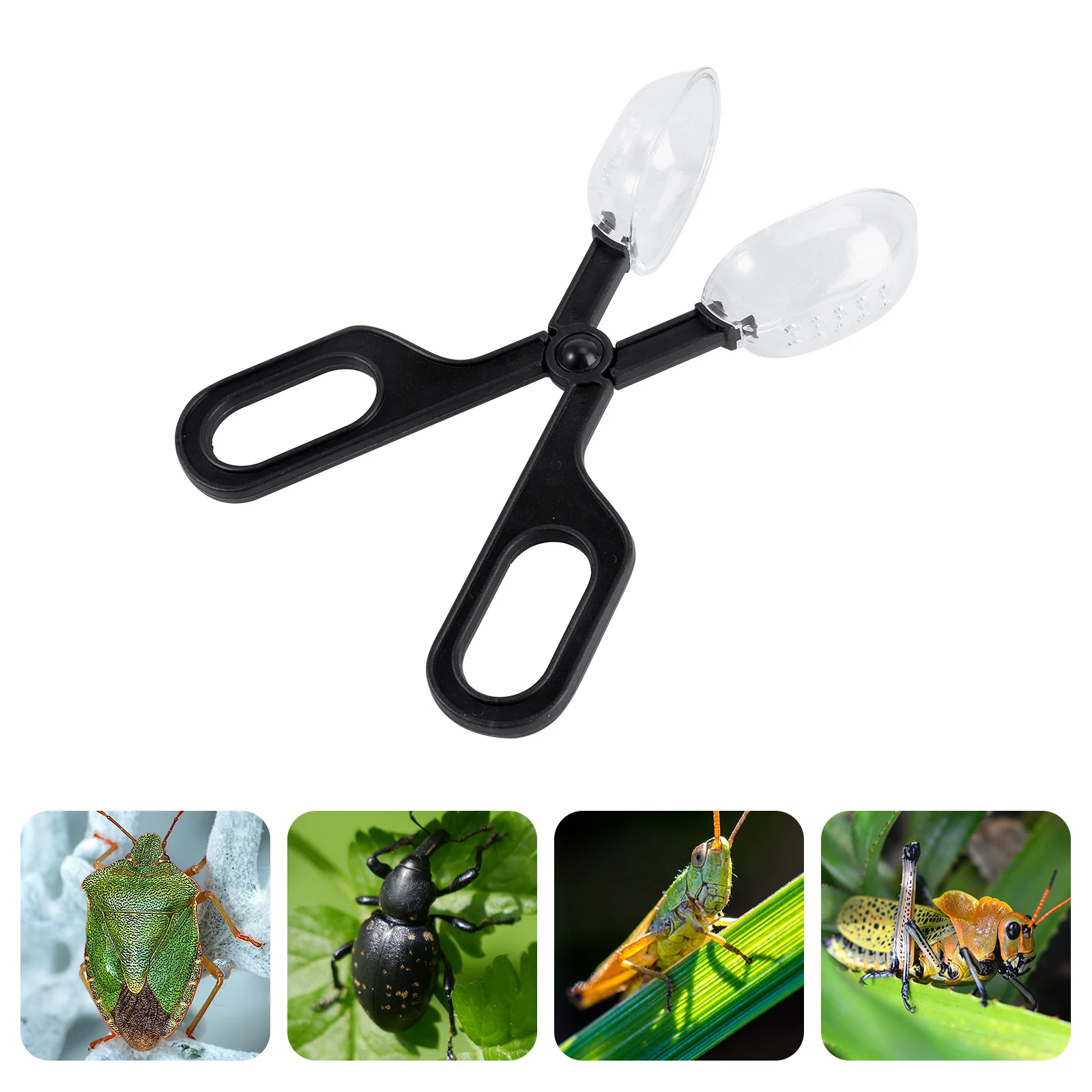 

3pcs Reptile Feeding Cleaning Clip ABS Material Bidworm Breeding Tool Terrarium Accessories Suitable for Crickets Cockroach