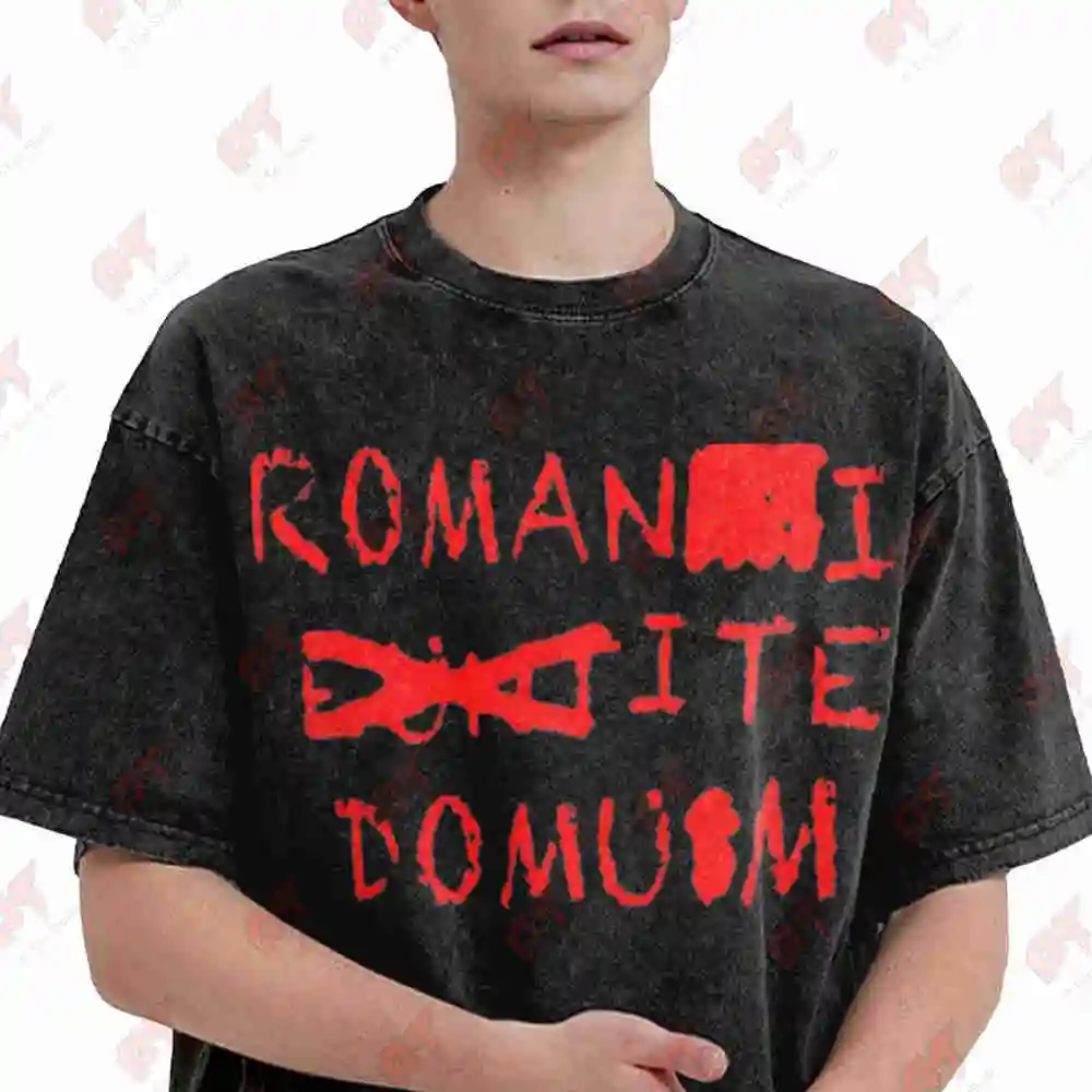 Monty Python Bryan Theme Roman Script Comedy Vintage Washed Tee Pure Cotton T-Shirt