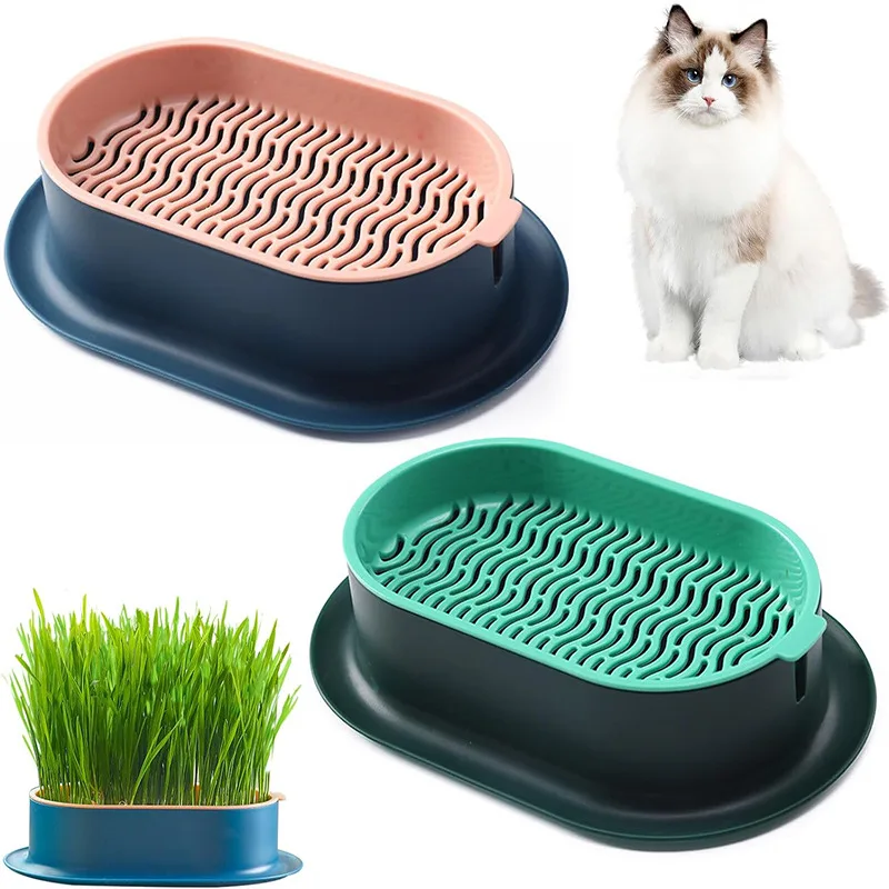 Cat Snack Cat Mint Planting Hydroponic Box Cat Grass Pot Color Contrast Hydroponic Cat Grass Box Set Catgrass Planting Bowl