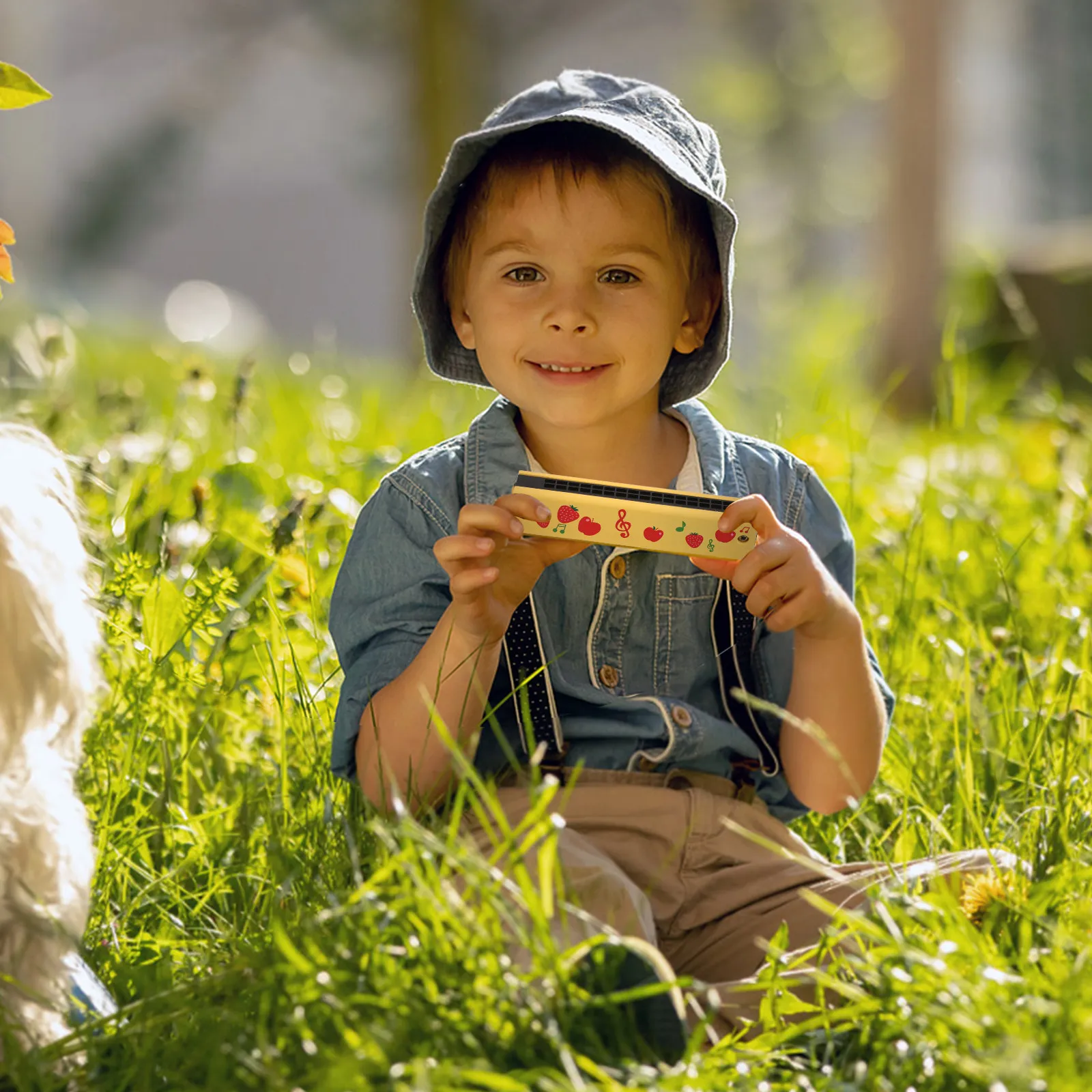 Mini Wooden Harmonica for Kids Toddlers Beginners Fruit Pattern Portable Musical Instrument Childrens Harmonica