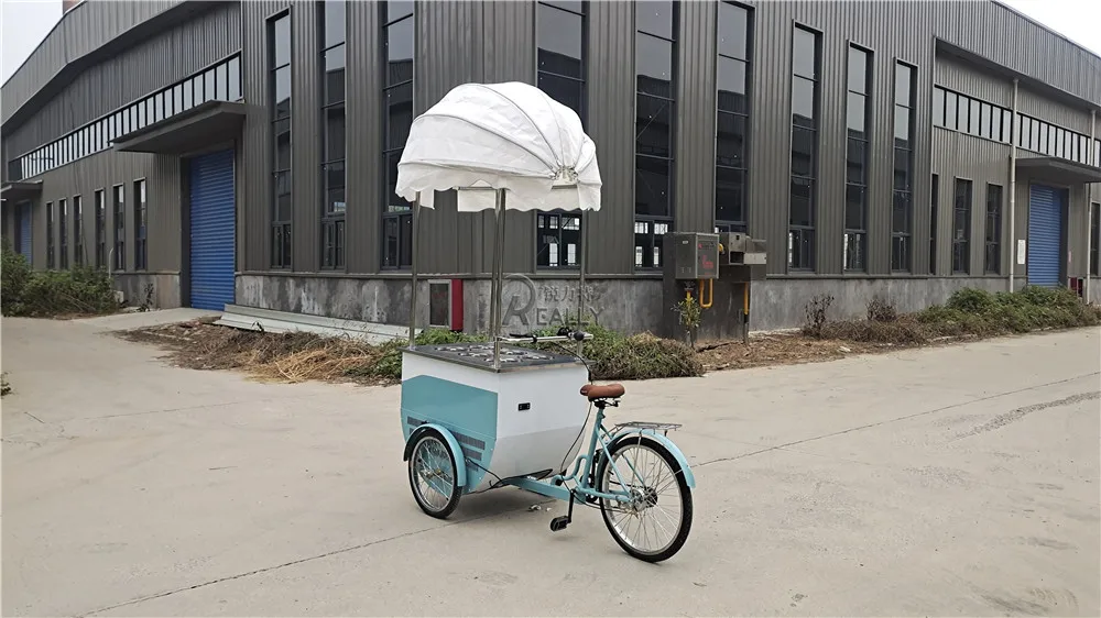 

Customized 3 Wheel Cargo Trike Mobile Ice Cream Bike for Sale Europe Electric Freezer Bike Popsicle Vending Tricycle