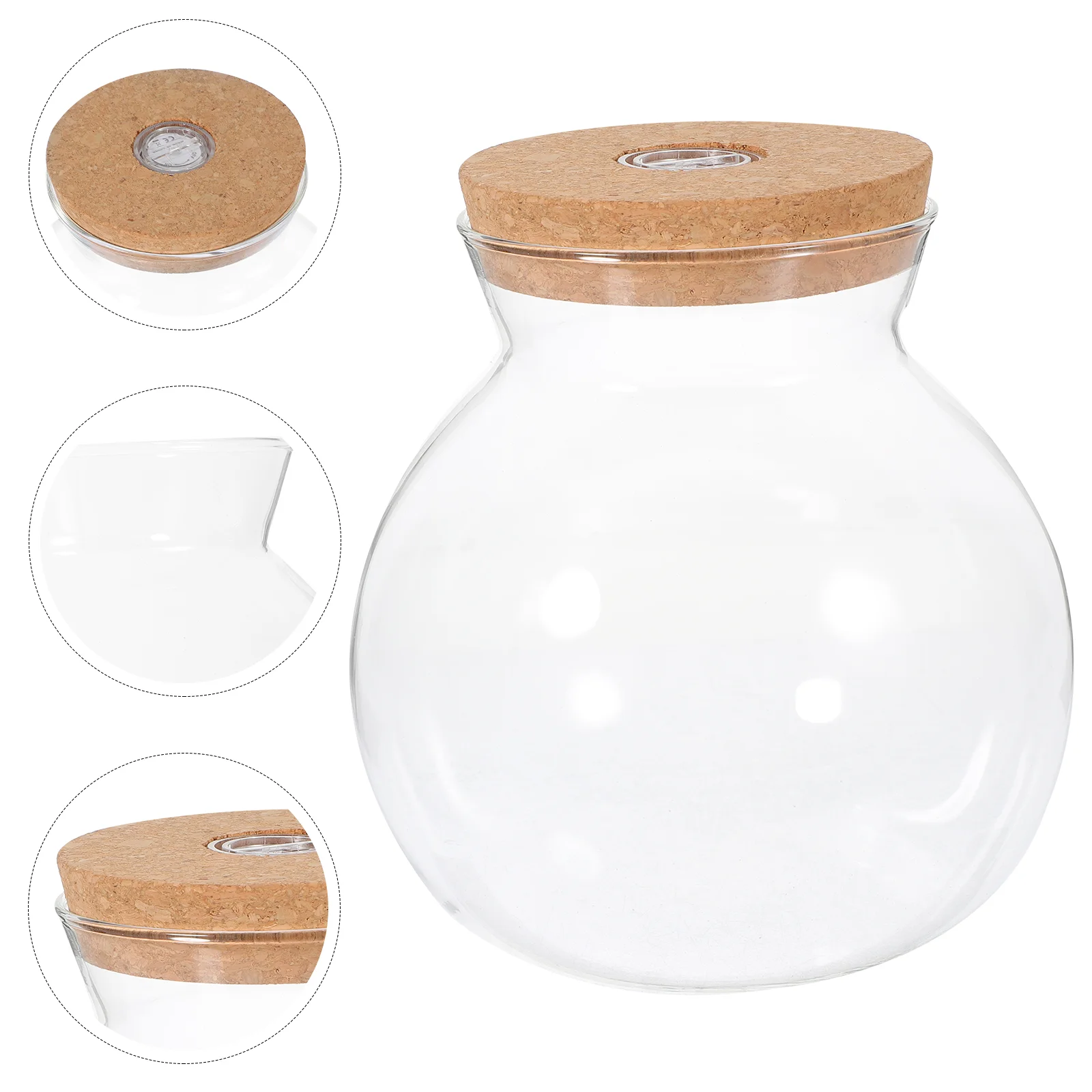 

Fish Tanks Landscape Bottle Mini Aquarium Micro Decorate DIY Simple Plant Terrarium White Borosilicate Glass Office