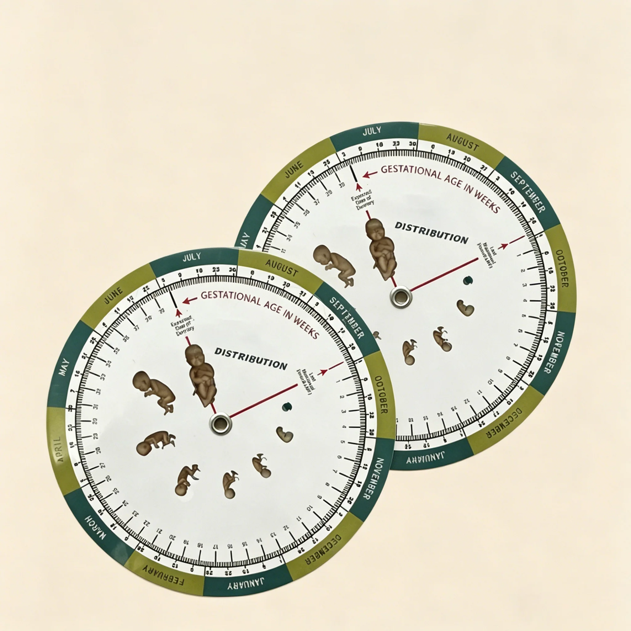 Pregnancy Calendar:A calculator for the due dates of pregnant patients Wheel Designed for obstetricians gynecologists patients