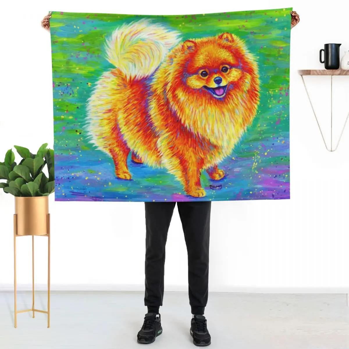 Rainbow Pomeranian Throw Blanket Luxury Decorative Sofas Kid'S Hairys Decoratives Custom Blankets